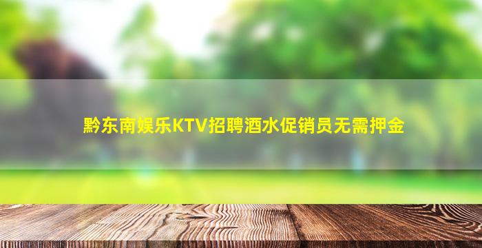 黔东南娱乐KTV招聘酒水促销员无需押金